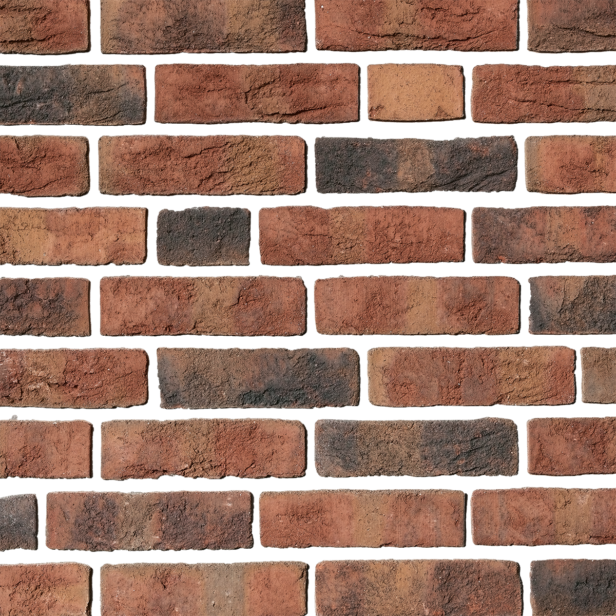 FORMBACK graphit-bunt PNG