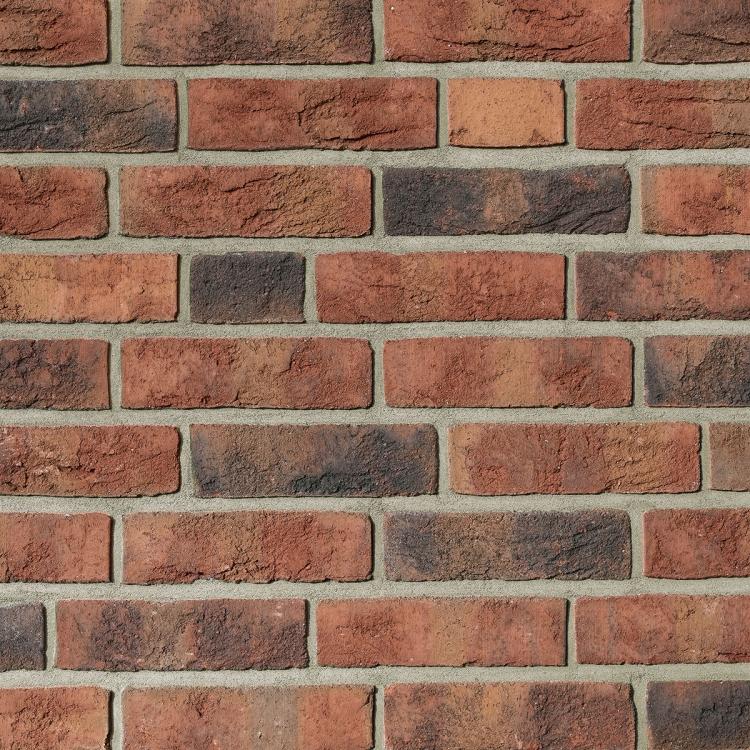 FORMBACK graphit-bunt