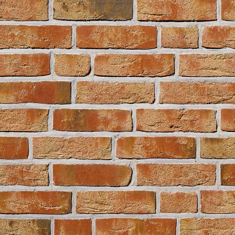MOORBRAND sandgelb-bunt