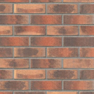 Klinkerriemchen TOULOUSE rot-bunt, carbon