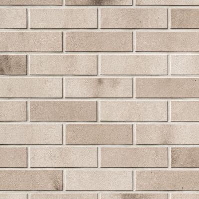 Klinkerriemchen TOULOUSE beige