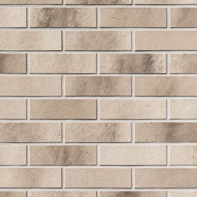 Klinkerriemchen TOULOUSE beige, carbon