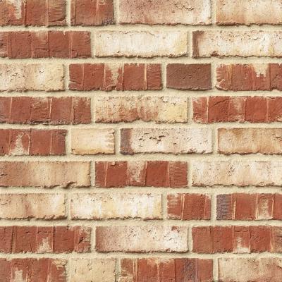 Klinker WIESMOOR 50-50 sandbeige-bunt