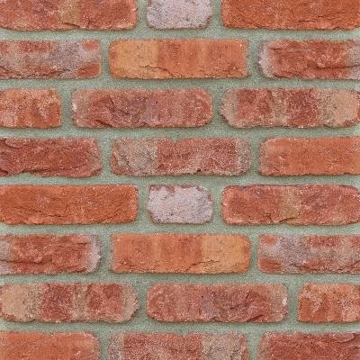 FORMBACK retro hellrot-bunt
