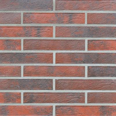 Klinkerfläche ESBJERG rot-bunt carbon