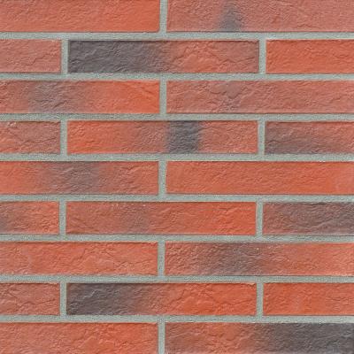 Klinkerfläche ESBJERG rot-bunt