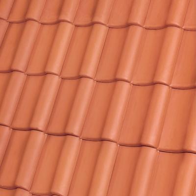 HOLSTEINplus naturrot