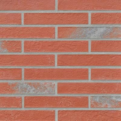 Klinkerfläche ESBJERG rot-granit
