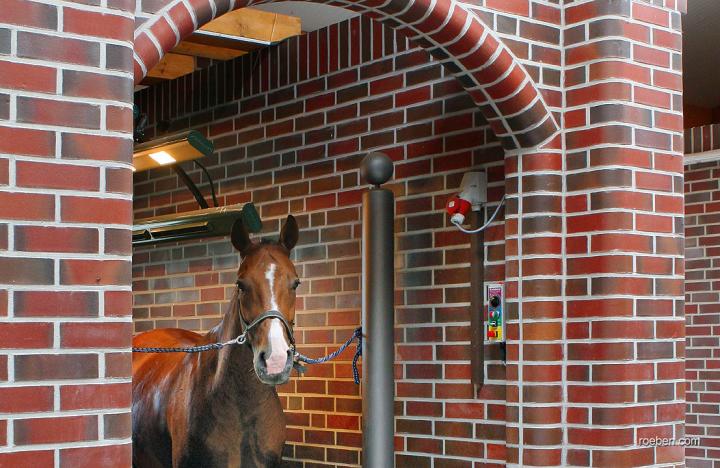 Gerundete Formziegel im Stall verhindern Verletzungen