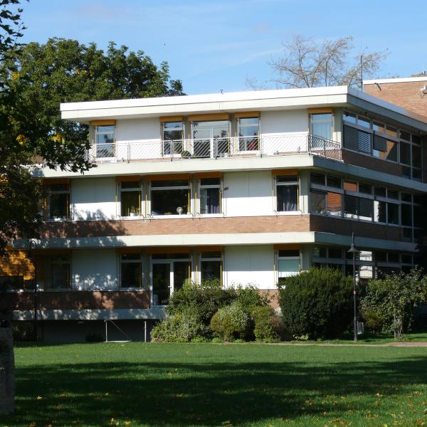 Rathaus Reinheim vor der Sanierung, umgeben von Bäumen, Rasen im Vordergrund.